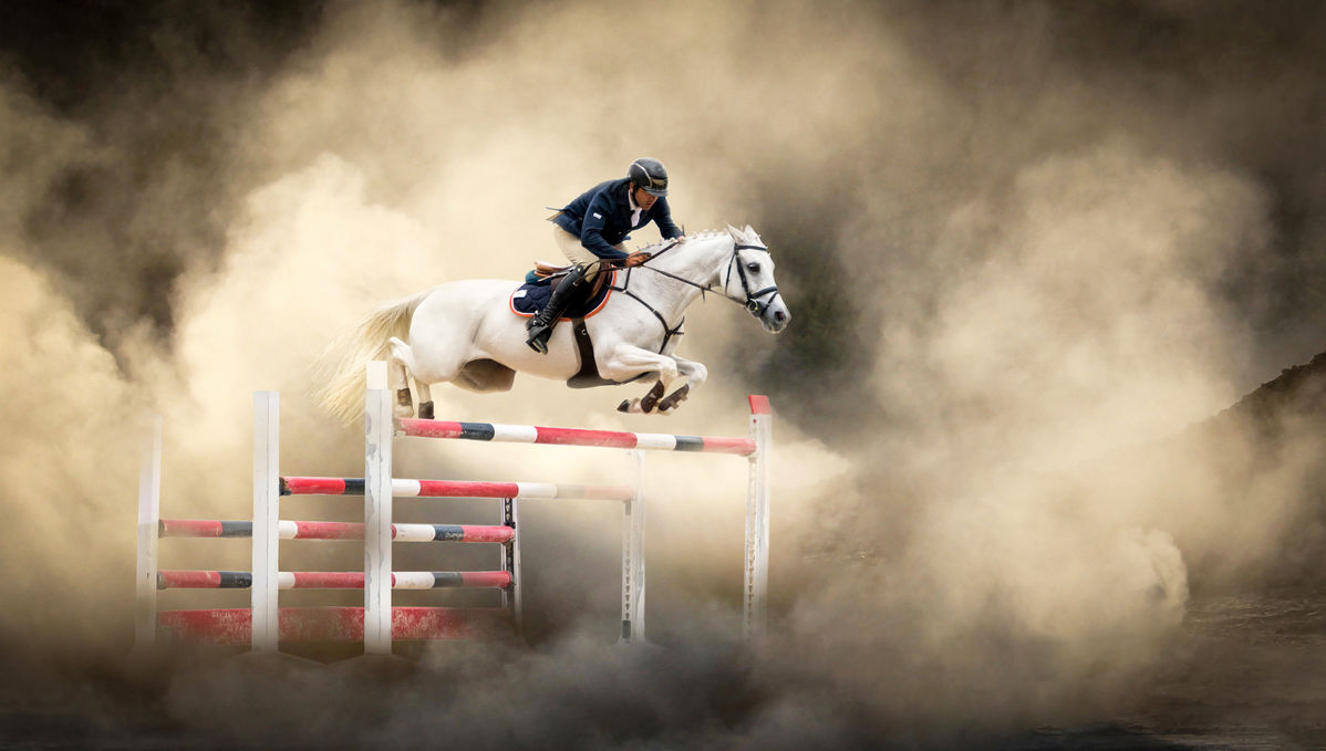 想像を超えての 楽天市場 アートパネル 10cm単位でサイズオーダーできる 絵画 壁掛け インテリア 壁飾り キャンバス アート ウォール 馬 ウマ 動物 壁紙屋本舗 カベガミヤホンポ 50 Off Psht Or Id