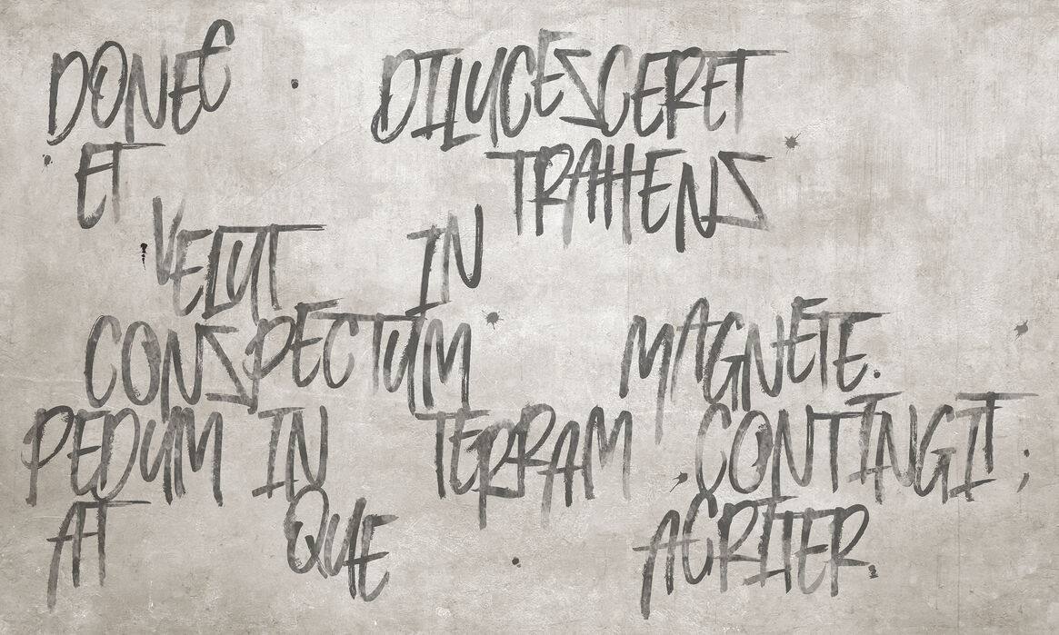 宅送 アートパネル 10cm単位でサイズオーダーできる 絵画 壁掛け インテリア 壁飾り キャンバス アート ウォール グラフィティアート ベージュ グランジ 壁紙屋本舗 カベガミヤホンポ 正規店仕入れの Homepos Profmuhaya Com