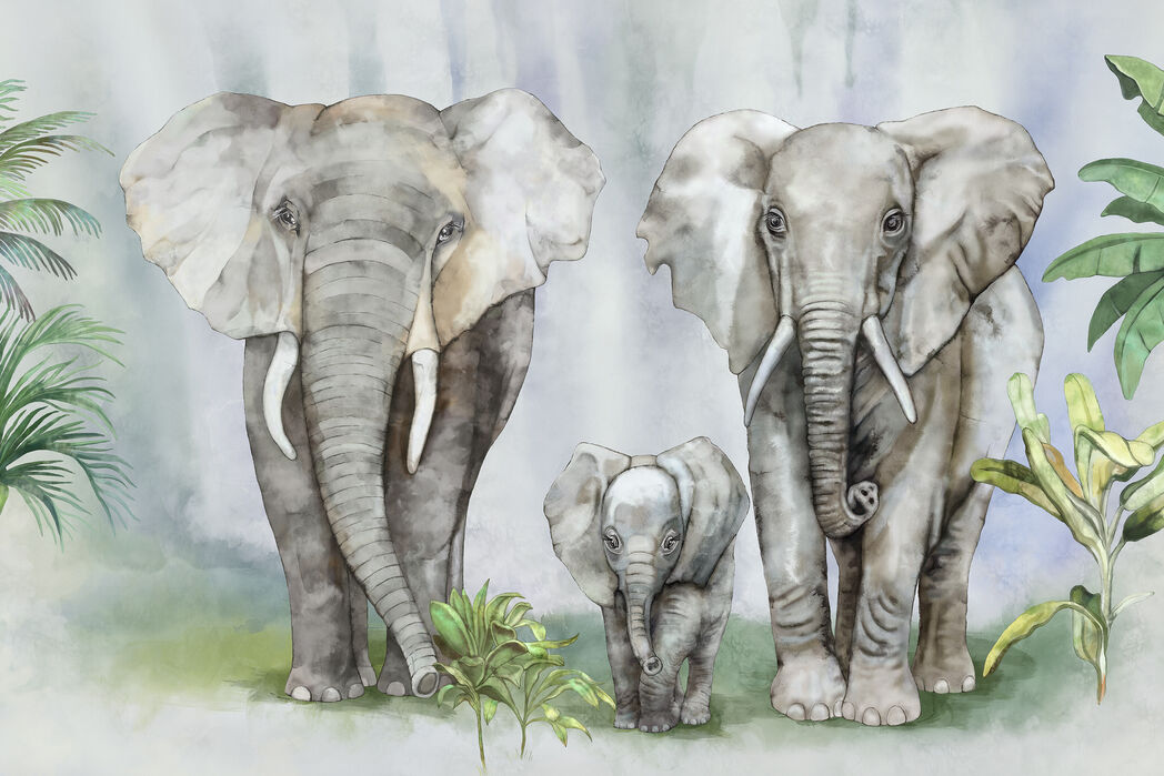 柔らかい 楽天市場 アートパネル 10cm単位でサイズオーダーできる 絵画 壁掛け インテリア 壁飾り キャンバス アート ウォール 水彩画 象 ゾウ イラスト 壁紙屋本舗 カベガミヤホンポ 輝く高品質な Www Entraide Ma