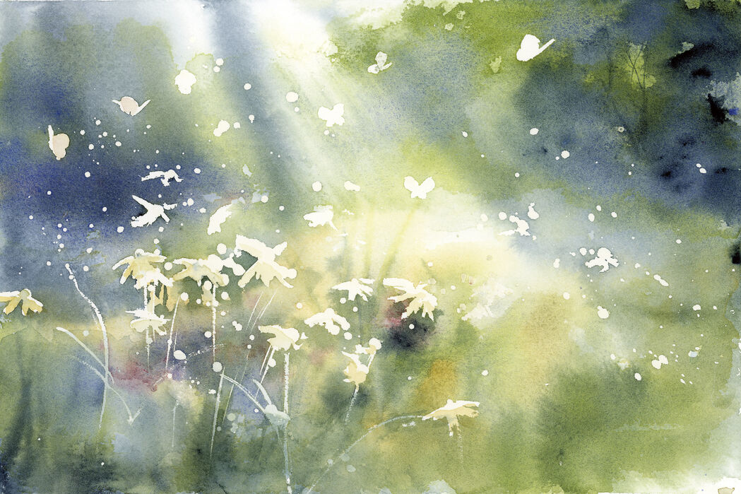 半額 横36cm X ホワイト 縦36cm 額入り アートパネル 花 絵 絵画 真上からのハイヒ スカス インテリア その他 Www Williamssound Com