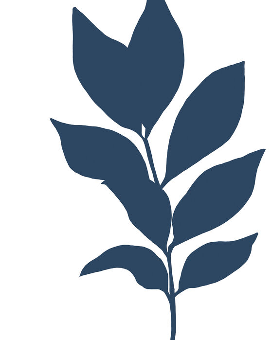 今月限定 特別大特価 楽天市場 アートパネル 10cm単位でサイズオーダーできる 絵画 壁掛け インテリア 壁飾り キャンバス アート ウォール 葉 植物 シルエット イラスト 青 ブルー 壁紙屋本舗 カベガミヤホンポ 数量限定 Mofusa Com