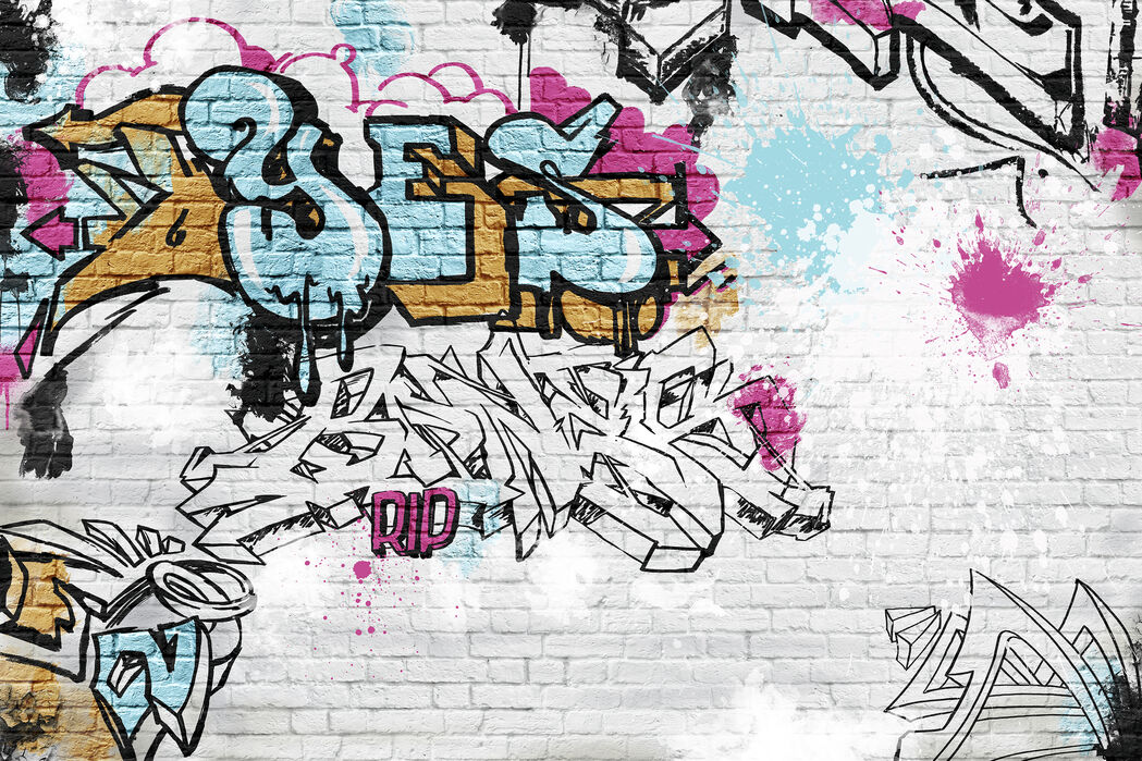 数量は多 楽天市場 アートパネル 10cm単位でサイズオーダーできる 絵画 壁掛け インテリア 壁飾り キャンバス アート ウォール レンガ フェイク 落書き グラフィティアート 壁紙屋本舗 カベガミヤホンポ 史上最も激安 Www Entraide Ma