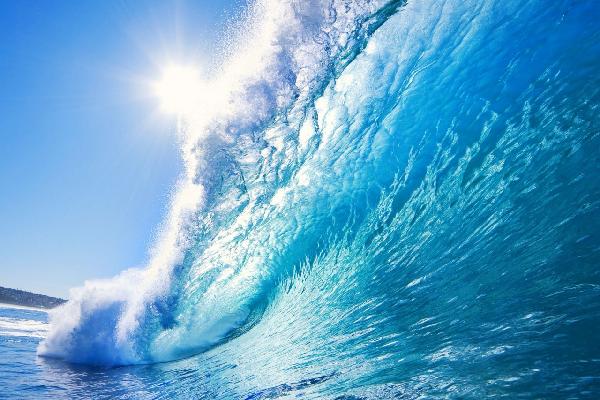 楽天市場 自然 ビーチ 砂浜 海の壁紙 輸入 カスタム壁紙 Photowall Big Blue Surfing Wave E19109 貼ってはがせるフリース壁紙 不織布 海外取り寄せのため1カ月程度でお届け 代引き不可 壁紙屋本舗 カベガミヤホンポ