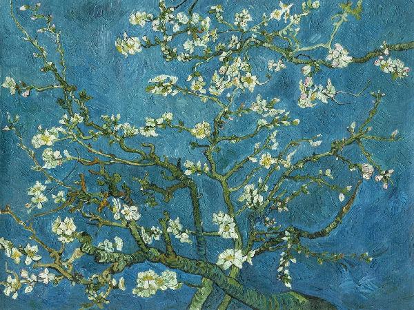 楽天市場 アート 絵画の壁紙 ゴッホ 花咲くアーモンドの木の枝 輸入