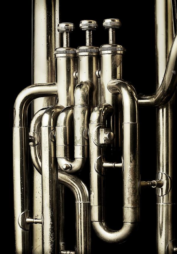 楽天市場 音楽 ミュージック 楽器の壁紙 輸入 カスタム壁紙 Photowall Brass Horn Tuba E 貼ってはがせるフリース壁紙 不織布 海外取り寄せのため1カ月程度でお届け 代引き不可 壁紙屋本舗 カベガミヤホンポ