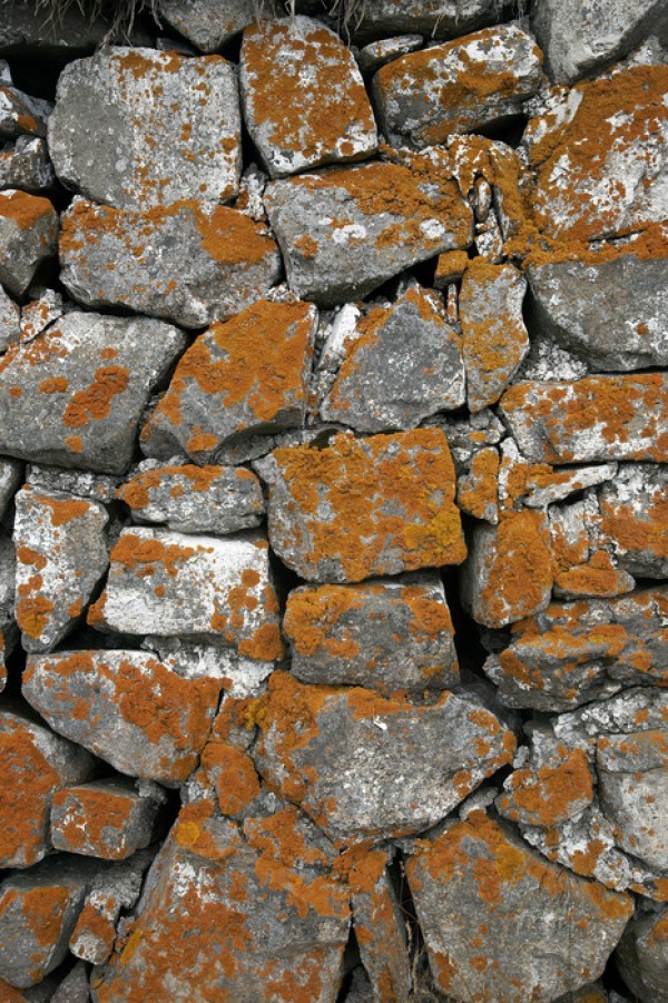 楽天市場 自然 石 岩の壁紙 輸入 カスタム壁紙 Photowall Icelandic Stonewall E 貼ってはがせるフリース壁紙 不織布 海外取り寄せのため1カ月程度でお届け 代引き 後払い不可 壁紙屋本舗 カベガミヤホンポ