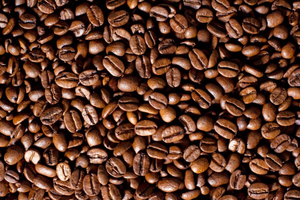 楽天市場 食べ物 ドリンク の壁紙 輸入 カスタム壁紙 Photowall Coffee Beans E 貼ってはがせるフリース壁紙 不織布 海外取り寄せのため1カ月程度でお届け 代引き 後払い不可 壁紙屋本舗 カベガミヤホンポ