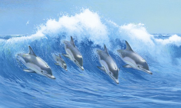 楽天市場 イルカの壁紙 輸入 カスタム壁紙 Photowall Leaping Dolphins E21678 貼ってはがせるフリース壁紙 不織布 海外取り寄せのため1カ月程度でお届け 代引き不可 壁紙屋本舗 カベガミヤホンポ