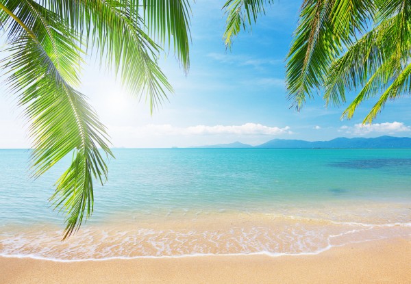 楽天市場 自然 季節 四季の壁紙 夏 ビーチ 海 輸入 カスタム壁紙 Photowall Tropical View From Under A Palm Tree E 貼ってはがせるフリース壁紙 不織布 海外取り寄せのため1カ月程度でお届け 代引き 後払い不可 壁紙 屋本舗 カベガミヤホンポ