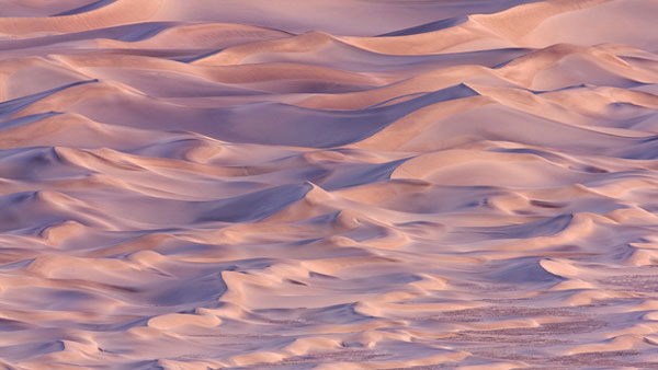 楽天市場 風景 景色 砂漠の壁紙 輸入 カスタム壁紙 Photowall Sand Dunes At Sunset California 1128 貼ってはがせるフリース壁紙 不織布 海外取り寄せのため1カ月程度でお届け 代引き 後払い不可 壁紙屋本舗 カベガミヤホンポ