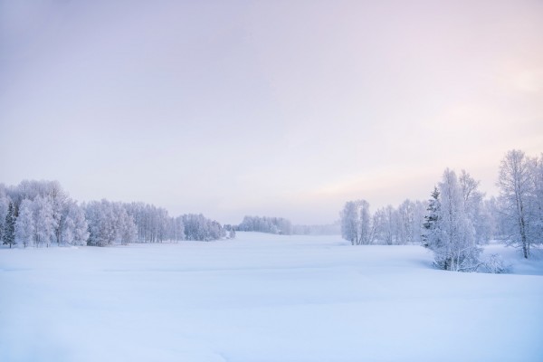 楽天市場 山 雪原 雪 冬の壁紙 輸入 カスタム壁紙 Photowall A New Beginning 貼ってはがせるフリース 壁紙 不織布 海外取り寄せのため1カ月程度でお届け 代引き 後払い不可 壁紙屋本舗 カベガミヤホンポ