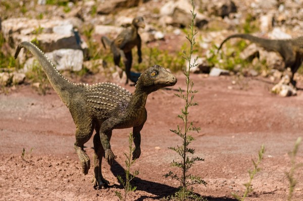 楽天市場 恐竜 赤ちゃんの壁紙 輸入 カスタム壁紙 Photowall Baby Dinosaurs 貼ってはがせるフリース壁紙 不織布 海外取り寄せのため1カ月程度でお届け 代引き不可 壁紙屋本舗 カベガミヤホンポ