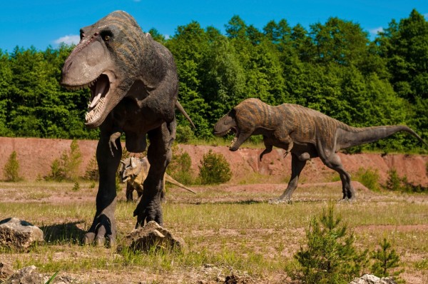 楽天市場 恐竜 ティラノサウルスの壁紙 輸入 カスタム壁紙 Photowall