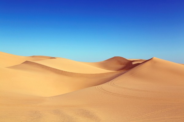 楽天市場 砂漠 自然 空 スカイ の壁紙 輸入 カスタム壁紙 Photowall Desert Sand Dunes 貼ってはがせるフリース壁紙 不織布 海外取り寄せのため1カ月程度でお届け 代引き不可 壁紙屋本舗 カベガミヤホンポ