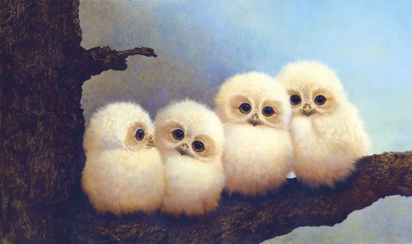 楽天市場 フクロウ ヒナ 赤ちゃんの壁紙 輸入 カスタム壁紙 Photowall The Owlets 貼ってはがせるフリース 壁紙 不織布 海外取り寄せのため1カ月程度でお届け 代引き 後払い不可 壁紙屋本舗 カベガミヤホンポ