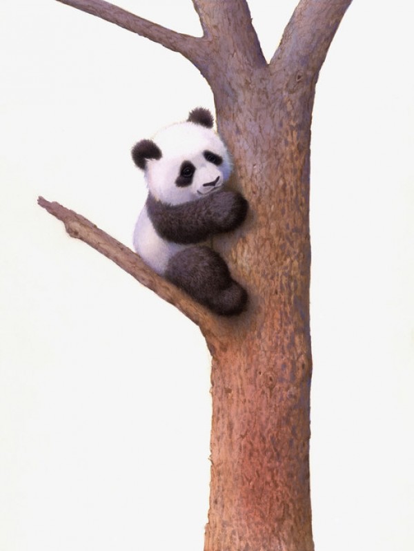 楽天市場 パンダ 子パンダ 赤ちゃんの壁紙 輸入 カスタム壁紙 Photowall Pishu Panda 貼ってはがせるフリース壁紙 不織布 海外取り寄せのため1カ月程度でお届け 代引き 後払い不可 壁紙屋本舗 カベガミヤホンポ