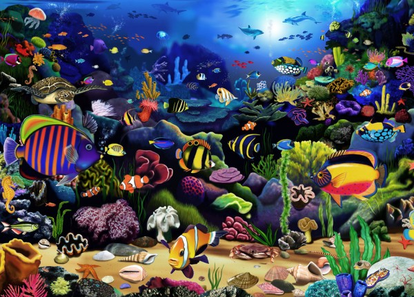 楽天市場 海 熱帯魚 トロピカルの壁紙 輸入 カスタム壁紙 Photowall Colourful Reef 貼ってはがせるフリース壁紙 不織布 海外取り寄せのため1カ月程度でお届け 代引き 後払い不可 壁紙屋本舗 カベガミヤホンポ