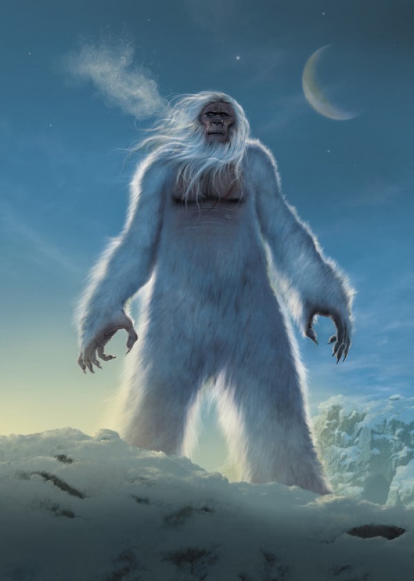 楽天市場 雪男 イエティの壁紙 輸入 カスタム壁紙 Photowall Yeti 貼ってはがせるフリース壁紙 不織布 海外取り寄せのため1カ月程度でお届け 代引き 後払い不可 壁紙屋本舗 カベガミヤホンポ