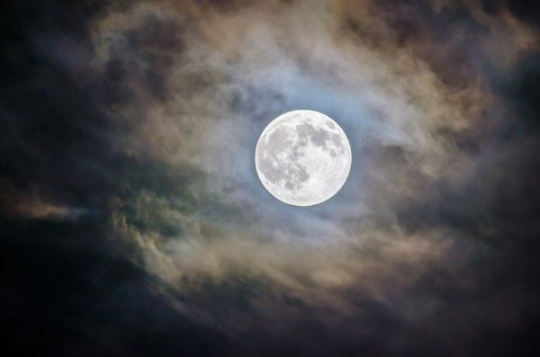 楽天市場 夜 月の壁紙 輸入 カスタム壁紙 Photowall Cloudy Moon 貼ってはがせるフリース壁紙 不織布 海外取り寄せのため1カ月程度でお届け 代引き不可 壁紙屋本舗 カベガミヤホンポ