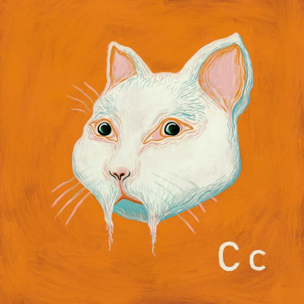 楽天市場 猫 ネコ 白猫 イラスト アルファベット オレンジの壁紙 輸入