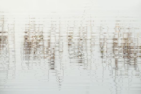 楽天市場 水面 アートの壁紙 輸入 カスタム壁紙 Photowall Water Light And Reed 貼ってはがせるフリース壁紙 不織布 海外取り寄せのため1カ月程度でお届け 代引き不可 壁紙屋本舗 カベガミヤホンポ