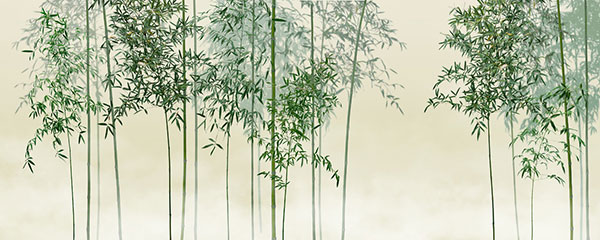 楽天市場 竹 竹林 和風 日本風の壁紙 輸入 カスタム壁紙 Photowall Bamboo Trees View Green 貼ってはがせるフリース壁紙 不織布 海外取り寄せのため1カ月程度でお届け 代引き 後払い不可 壁紙屋本舗 カベガミヤホンポ