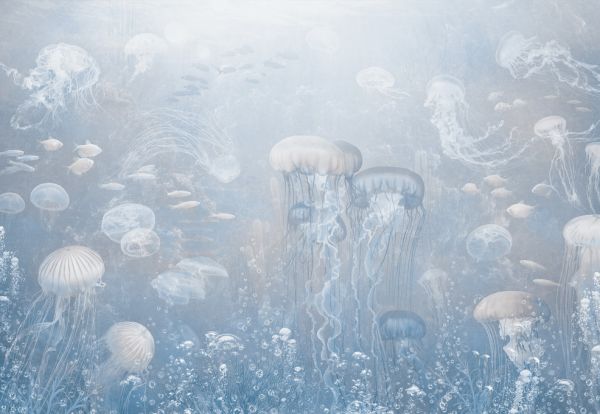 楽天市場 クラゲ 海 青 ブルーの壁紙 輸入 カスタム壁紙 Photowall Jellyfish Garden Blue 貼ってはがせるフリース壁紙 不織布 海外取り寄せのため1カ月程度でお届け 代引き不可 壁紙屋本舗 カベガミヤホンポ