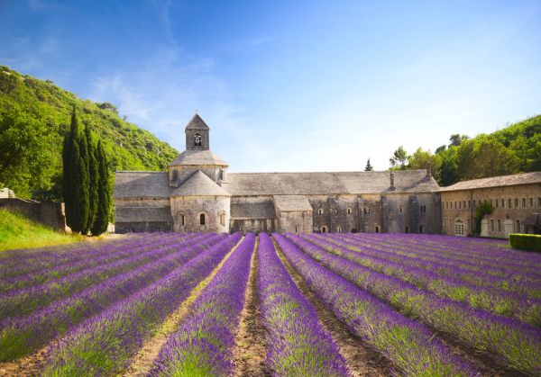 楽天市場 セナンク修道院 ラベンダーの壁紙 輸入 カスタム壁紙 Photowall Senanque Abbey 貼ってはがせるフリース壁紙 不織布 海外取り寄せのため1カ月程度でお届け 代引き不可 壁紙屋本舗 カベガミヤホンポ