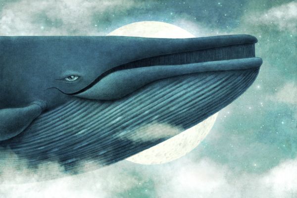 楽天市場 クジラ イラスト 月 ファンタジー 青 ブルー キッズ 子どもの壁紙 輸入 カスタム壁紙 Photowall Dream Of The Blue Whale Landscape 018 貼ってはがせるフリース壁紙 不織布 海外取り寄せのため1カ月程度でお届け 代引き 後払い不可 壁紙屋