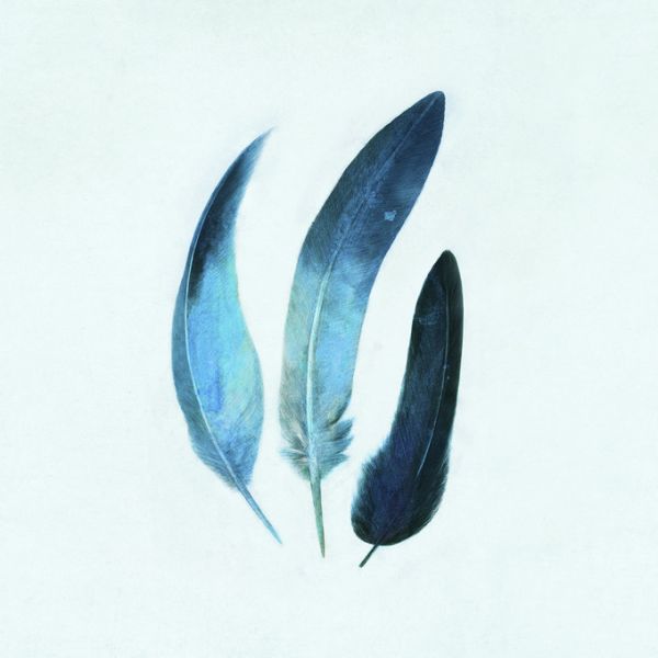 楽天市場 羽根 フェザー 青 ブルーの壁紙 輸入 カスタム壁紙 Photowall Indigo Feathers Square 027 貼ってはがせるフリース壁紙 不織布 海外取り寄せのため1カ月程度でお届け 代引き 後払い不可 壁紙屋本舗 カベガミヤホンポ