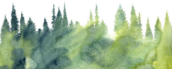 楽天市場 木 森 イラスト 水彩画 緑 グリーンの壁紙 輸入 カスタム壁紙 Photowall Watercolor Trees 131 貼ってはがせるフリース壁紙 不織布 海外取り寄せのため1カ月程度でお届け 代引き 後払い不可 壁紙屋本舗 カベガミヤホンポ