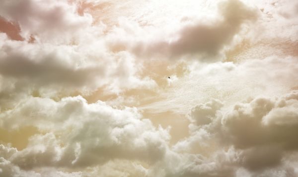 楽天市場 空 雲 グラデーション ベージュ セピアの壁紙 輸入 カスタム壁紙 Photowall Cloudy Sky 169 貼ってはがせるフリース壁紙 不織布 海外取り寄せのため1カ月程度でお届け 代引き 後払い不可 壁紙屋本舗 カベガミヤホンポ