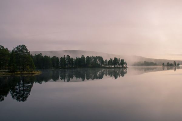 楽天市場 森 森林 水辺 霧 もや 朝日の壁紙 輸入 カスタム壁紙 Photowall Lake And Forest At Dawn 貼ってはがせるフリース壁紙 不織布 海外取り寄せのため1カ月程度でお届け 代引き 後払い不可 壁紙屋本舗 カベガミヤホンポ