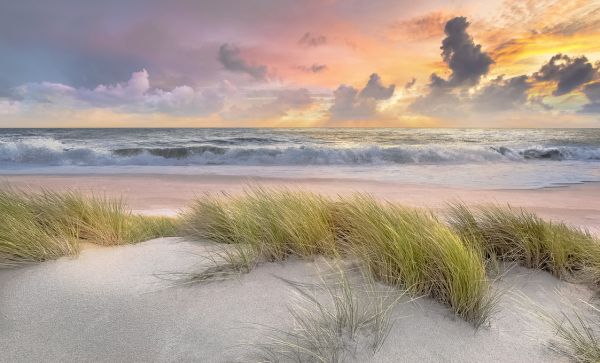 楽天市場 海 砂浜 ビーチ 波 空 雲 夕焼け 絶景の壁紙 輸入 カスタム壁紙 Photowall Grass In Beach Sand 貼ってはがせるフリース壁紙 不織布 海外取り寄せのため1カ月程度でお届け 代引き 後払い不可 壁紙屋本舗 カベガミヤホンポ