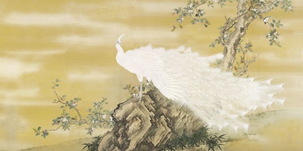 楽天市場 クジャク 日本画 花鳥画 和風の壁紙 輸入 カスタム壁紙 Photowall White Peafowl 貼ってはがせるフリース壁紙 不織布 海外取り寄せのため1カ月程度でお届け 代引き 後払い不可 壁紙屋本舗 カベガミヤホンポ