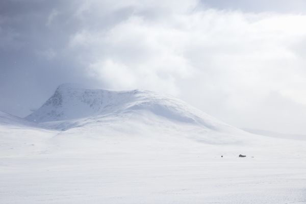 楽天市場 雪山 冬 雪 白 ホワイトの壁紙 輸入 カスタム壁紙 Photowall Wintry Lapland Sweden 663 貼ってはがせるフリース壁紙 不織布 海外取り寄せのため1カ月程度でお届け 代引き 後払い不可 壁紙屋本舗 カベガミヤホンポ