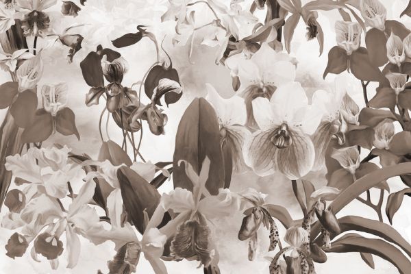 楽天市場 花 オーキッド ラン セピアの壁紙 輸入 カスタム壁紙 Photowall Orchid Harmony Sepia 貼ってはがせるフリース壁紙 不織布 海外取り寄せのため1カ月程度でお届け 代引き不可 壁紙屋本舗 カベガミヤホンポ