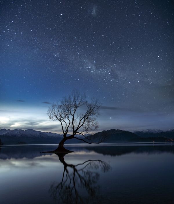 楽天市場 木 水辺 山 空 星 夜 青 ブルーの壁紙 輸入 カスタム壁紙 Photowall Wanaka Tree 貼ってはがせるフリース壁紙 不織布 海外取り寄せのため1カ月程度でお届け 代引き不可 壁紙屋本舗 カベガミヤホンポ