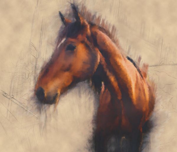 楽天市場 馬 ウマ 動物 イラスト 絵画の壁紙 輸入 カスタム壁紙 Photowall Blended Horse Ii 貼ってはがせるフリース壁紙 不織布 海外取り寄せのため1カ月程度でお届け 代引き不可 壁紙屋本舗 カベガミヤホンポ