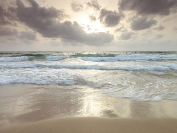 楽天市場 海 砂浜 ビーチ 波 波打ち際 空 雲の壁紙 輸入 カスタム壁紙 Photowall Beach 貼ってはがせるフリース壁紙 不織布 海外取り寄せのため1カ月程度でお届け 代引き 後払い不可 壁紙屋本舗 カベガミヤホンポ