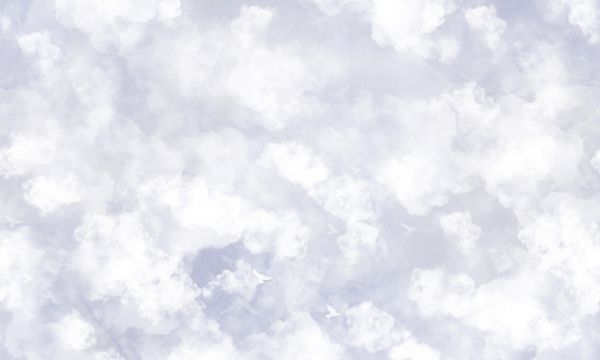 楽天市場 雲 イラスト 絵画の壁紙 輸入 カスタム壁紙 Photowall Clouds And Birds Blue 貼ってはがせるフリース壁紙 不織布 海外取り寄せのため1カ月程度でお届け 代引き 後払い不可 壁紙屋本舗 カベガミヤホンポ