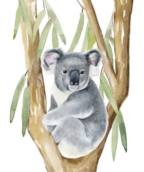 楽天市場 コアラ 動物 イラストの壁紙 輸入 カスタム壁紙 Photowall Woodland Koala 貼ってはがせるフリース壁紙 不織布 海外取り寄せのため1カ月程度でお届け 代引き 後払い不可 壁紙屋本舗 カベガミヤホンポ