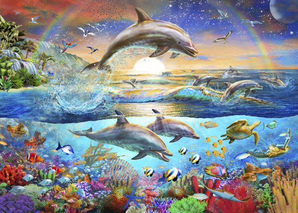 楽天市場 イルカ 海 魚 サンゴ 虹の壁紙 輸入 カスタム壁紙 Photowall Dolphin Treasure 貼ってはがせるフリース壁紙 不織布 海外取り寄せのため1カ月程度でお届け 代引き 後払い不可 壁紙屋本舗 カベガミヤホンポ