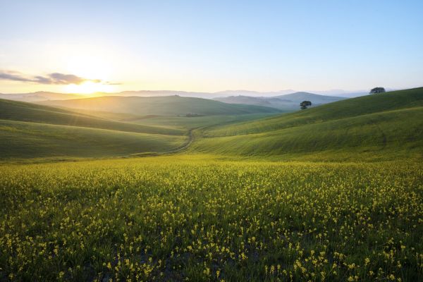 楽天市場 草原 緑 グリーンの壁紙 輸入 カスタム壁紙 Photowall Spring Grass Field 貼ってはがせるフリース壁紙 不織布 海外取り寄せのため1カ月程度でお届け 代引き 後払い不可 壁紙屋本舗 カベガミヤホンポ