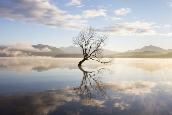 楽天市場 湖 木 山 水面 反射 空 雲 青 ブルーの壁紙 輸入 カスタム壁紙 Photowall Morning Mist On Lake 273 貼ってはがせるフリース壁紙 不織布 海外取り寄せのため1カ月程度でお届け 代引き不可 壁紙屋本舗 カベガミヤホンポ