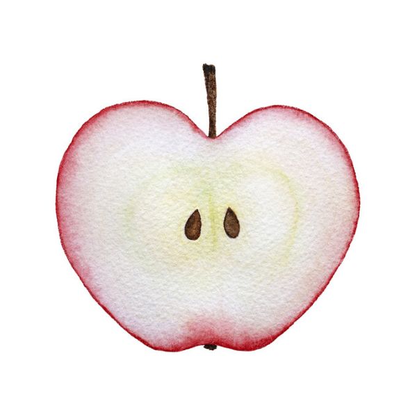 楽天市場 リンゴ フルーツ 半分 切り口 果物 イラストの壁紙 輸入 カスタム壁紙 Photowall Halved Red Apple 貼ってはがせるフリース壁紙 不織布 海外取り寄せのため1カ月程度でお届け 代引き 後払い不可 壁紙屋本舗 カベガミヤホンポ