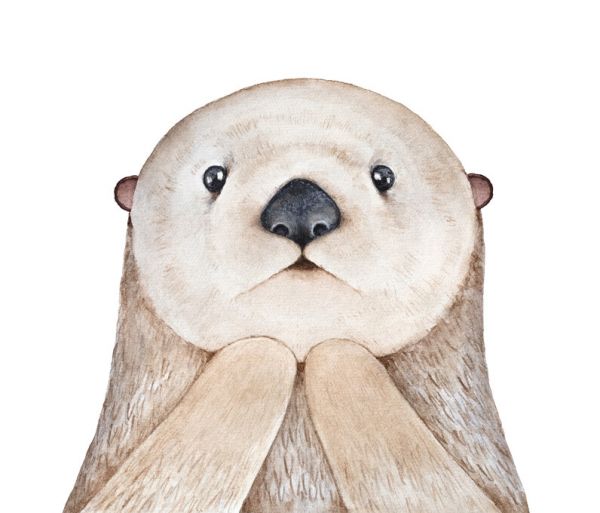 楽天市場 ラッコ 動物 イラスト ベージュ キッズ 子ども部屋の壁紙 輸入 カスタム壁紙 Photowall Fluffy Little Sea Otter 貼ってはがせるフリース壁紙 不織布 海外取り寄せのため1カ月程度でお届け 代引き 後払い不可 壁紙屋本舗 カベガミヤホンポ