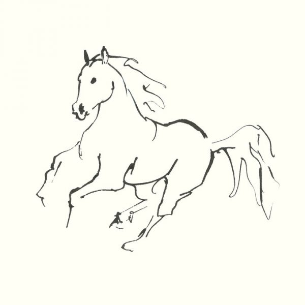 楽天市場 馬 ウマ 動物 線画 スケッチ イラスト 白 ホワイトの壁紙 輸入 カスタム壁紙 Photowall Line Horse 貼ってはがせるフリース壁紙 不織布 海外取り寄せのため1カ月程度でお届け 代引き 後払い不可 壁紙屋本舗 カベガミヤホンポ