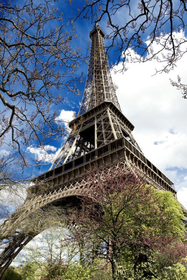 楽天市場 パリ エッフェル塔の壁紙 輸入 カスタム壁紙 Photowall La Tour Eiffel 貼ってはがせるフリース 壁紙 不織布 海外取り寄せのため1カ月程度でお届け 代引き 後払い不可 壁紙屋本舗 カベガミヤホンポ