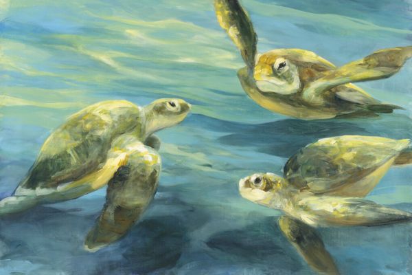 楽天市場 ウミガメ 海の壁紙 輸入 カスタム壁紙 Photowall Sea Turtles 247 貼ってはがせるフリース壁紙 不織布 海外取り寄せのため1カ月程度でお届け 代引き 後払い不可 壁紙屋本舗 カベガミヤホンポ